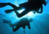 Дайвинг и подводная охота. Что для этого нужно?