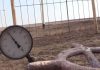 Молдавия не сможет закупить газ для резерва у «Газпрома» на кредит ЕС