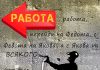 Лекарство от трудоголизма: россияне больше не хотят перерабатывать
