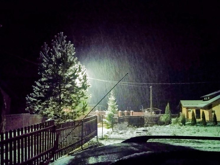 Советские дачи пошли по рукам: на рынке загородной недвижимости заметили перемены