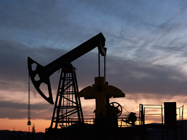 В ОПЕК+ возникли внутренние противоречия: что будет с ценами на нефть