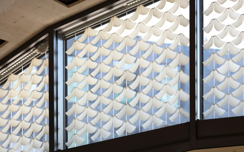 Чешуйки стеклянных шишек помогли создать самозатемняющиеся окна без затрат энергии 
