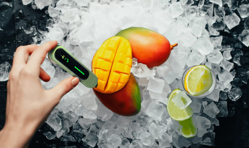 Компактный тестер EcoTracker определит безопасность продуктов за три секунды 