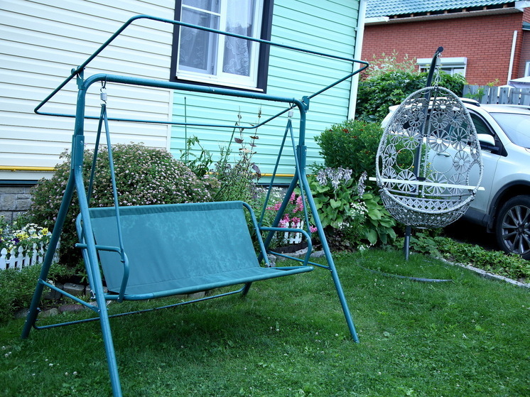 Дачникам дали три года: что будет с заброшенными участками