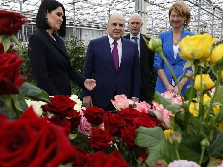 Мишустин в теплице: от голландских корней до русских роз