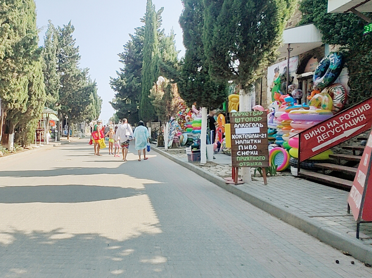 Крым — «Таврида» — Горловка: как добраться без проблем и насладиться отдыхом в разгар сезона