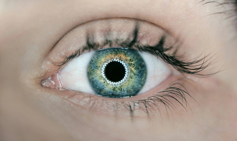 Напечатанная на 3D-принтере роговица вернула зрение слепому пациенту 