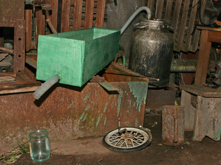 Наливка из погреба может навредить сильнее магазинной: скрытые опасности &laquo;натурального&raquo; алкоголя