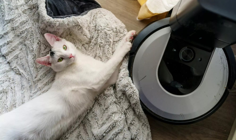 Производитель знаменитых пылесосов Roomba объявил о банкротстве спустя 35 лет работы 