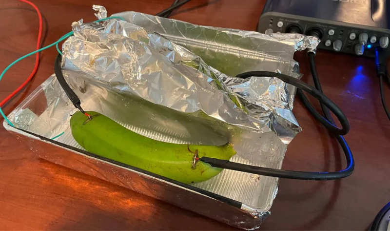 Аудиофилы не смогли отличить музыку, переданную через медный кабель, банан и мокрую грязь