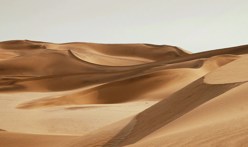 Древесная пыль превратит бесполезный песок пустынь в строительный бетон 