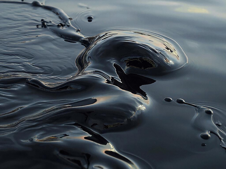 Экономист Разуваев: &laquo;Россия получает заметную выгоду от противостояния США и Ирана&raquo;