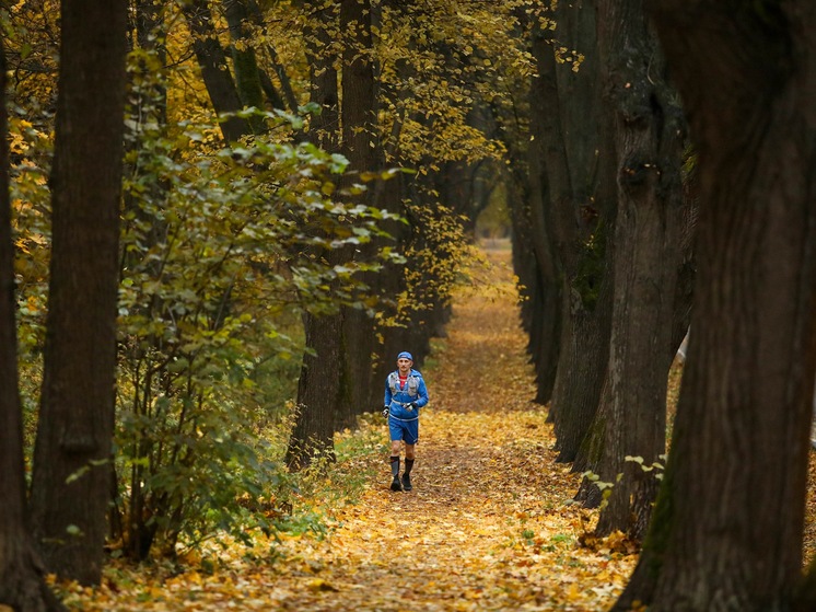 Названы «зеленые» и самые «коричневые» районы Москвы