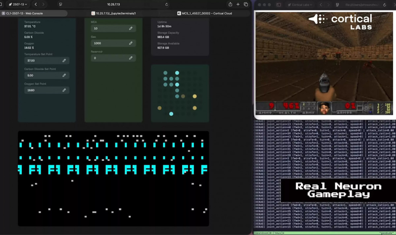 Система на живых человеческих неройнах от Cortical Labs научилась запускать Doom 